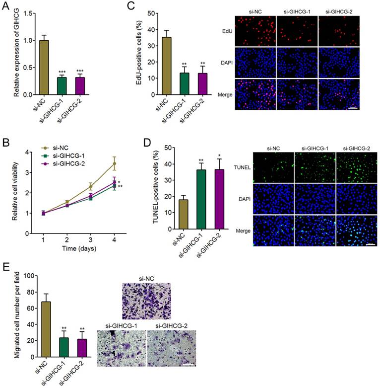 J Cancer Image