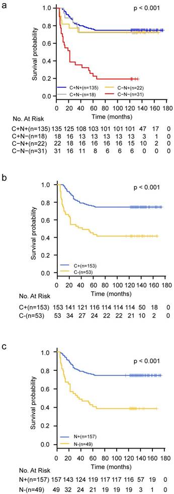 J Cancer Image