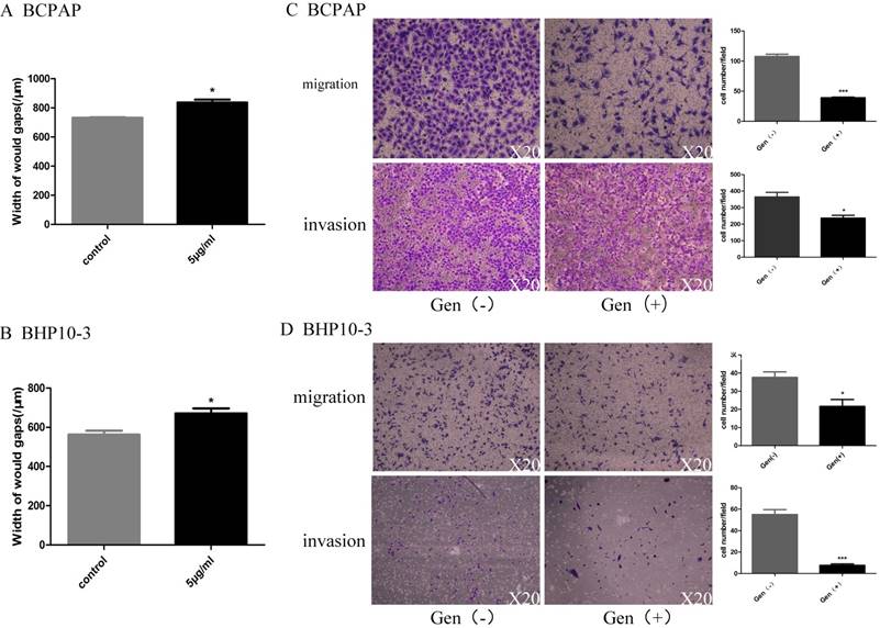 J Cancer Image