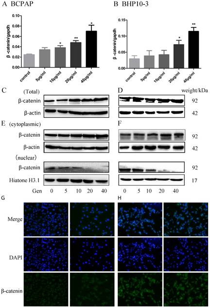 J Cancer Image