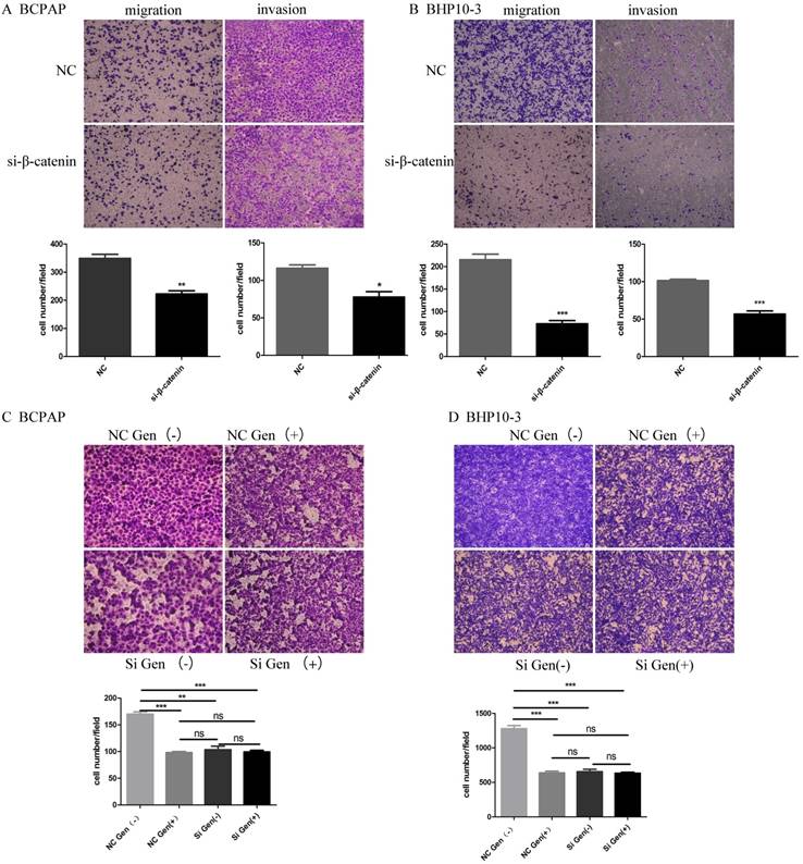 J Cancer Image