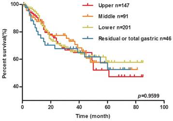 J Cancer Image