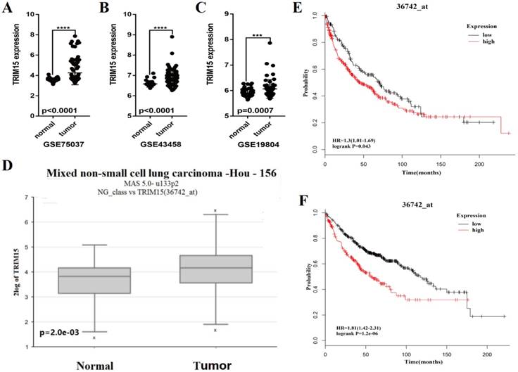 J Cancer Image