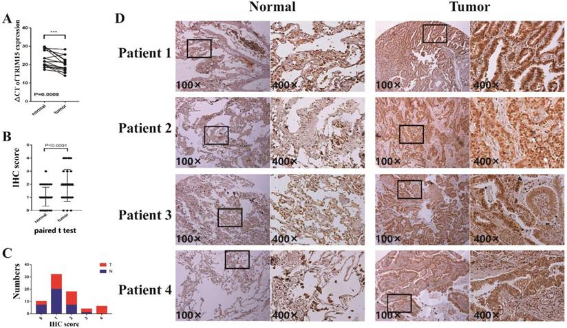 J Cancer Image