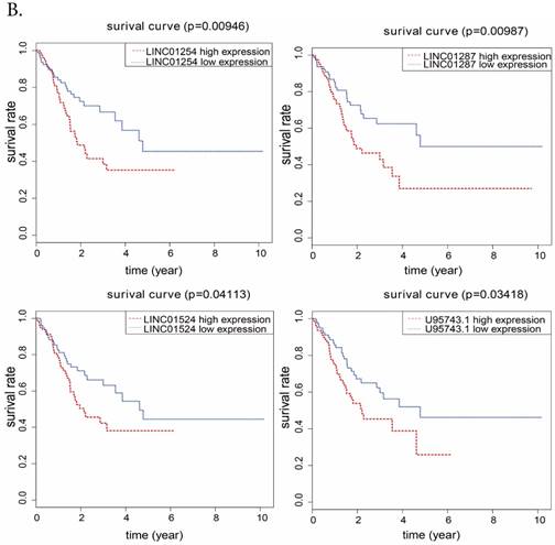 J Cancer Image