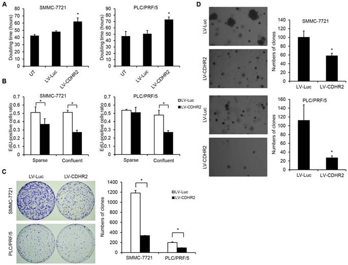 J Cancer Image