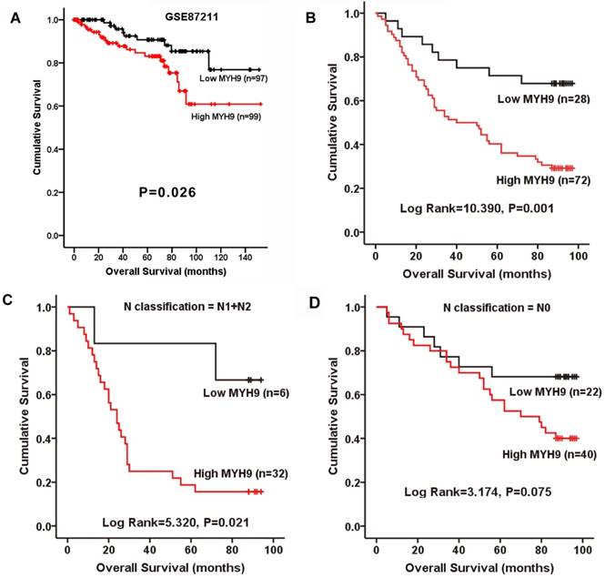 J Cancer Image