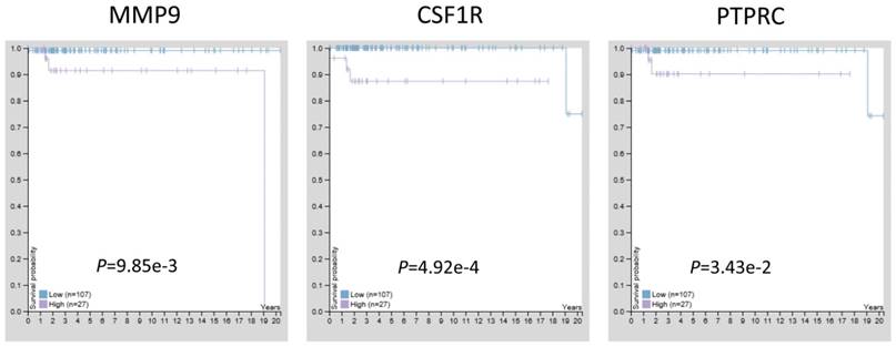 J Cancer Image