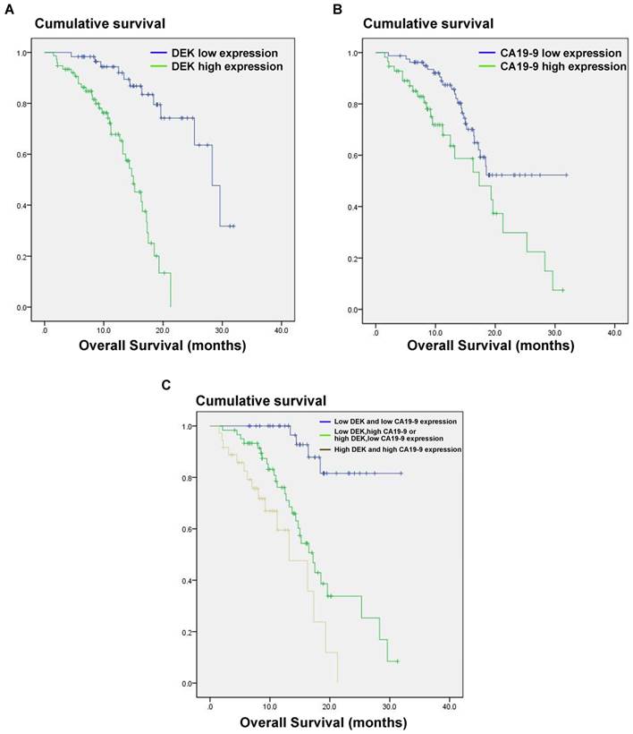 J Cancer Image