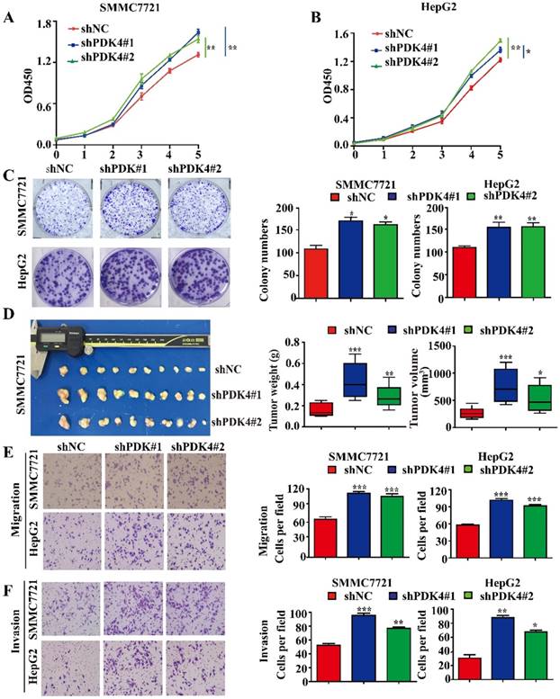 J Cancer Image