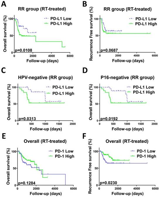 J Cancer Image