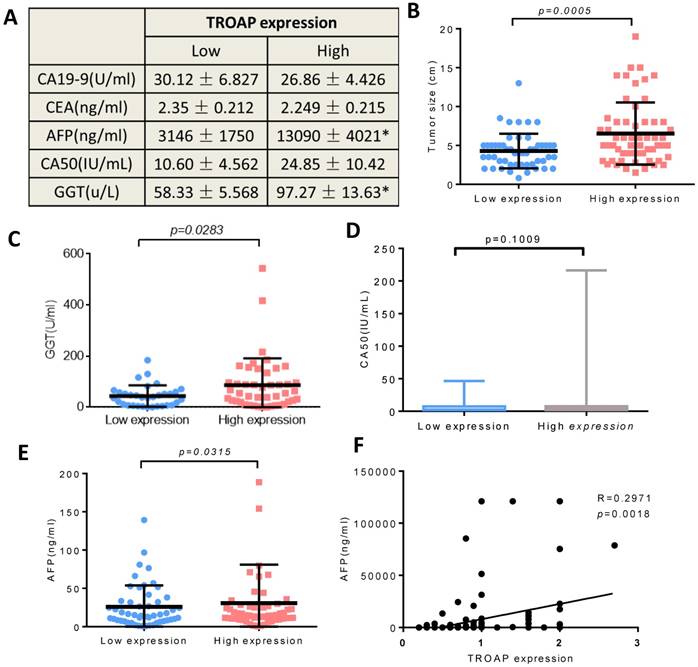 J Cancer Image