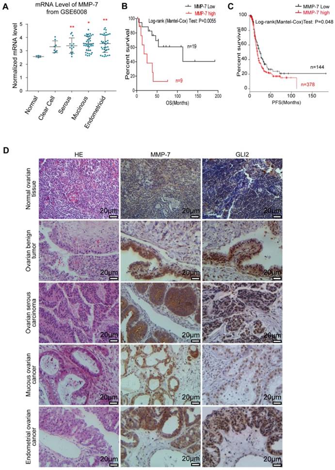 J Cancer Image