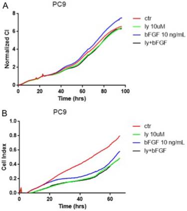 J Cancer Image