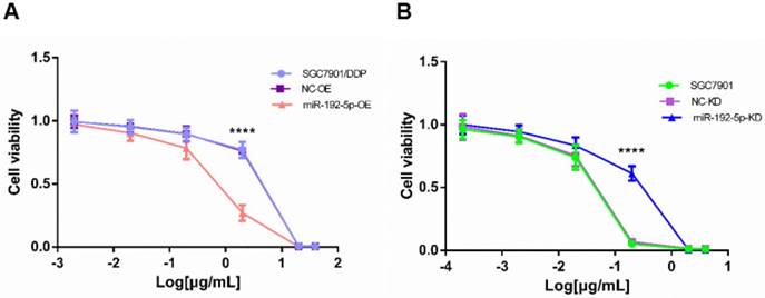 J Cancer Image