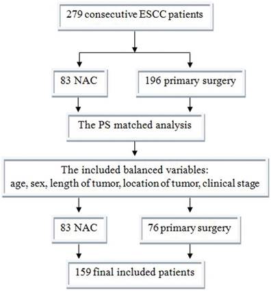 J Cancer Image