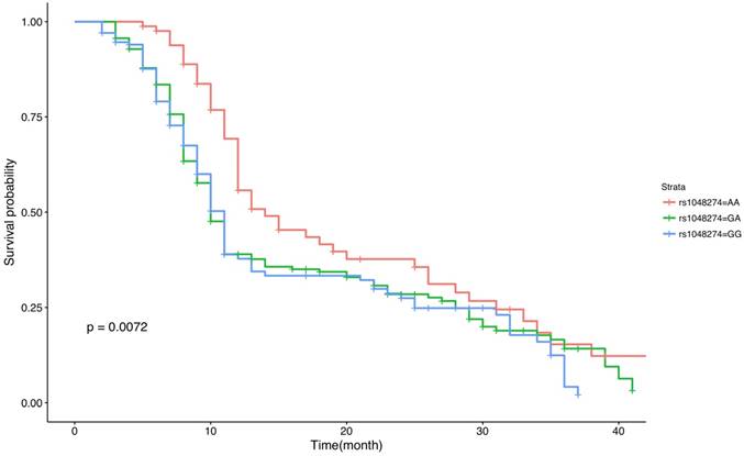 J Cancer Image