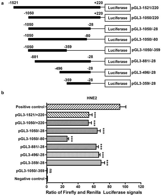 J Cancer Image