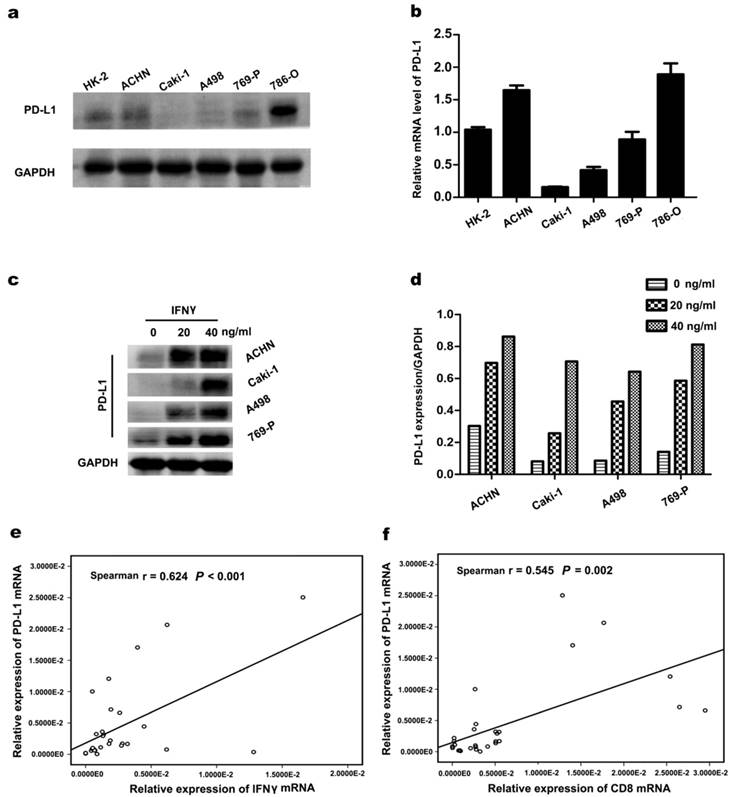 J Cancer Image