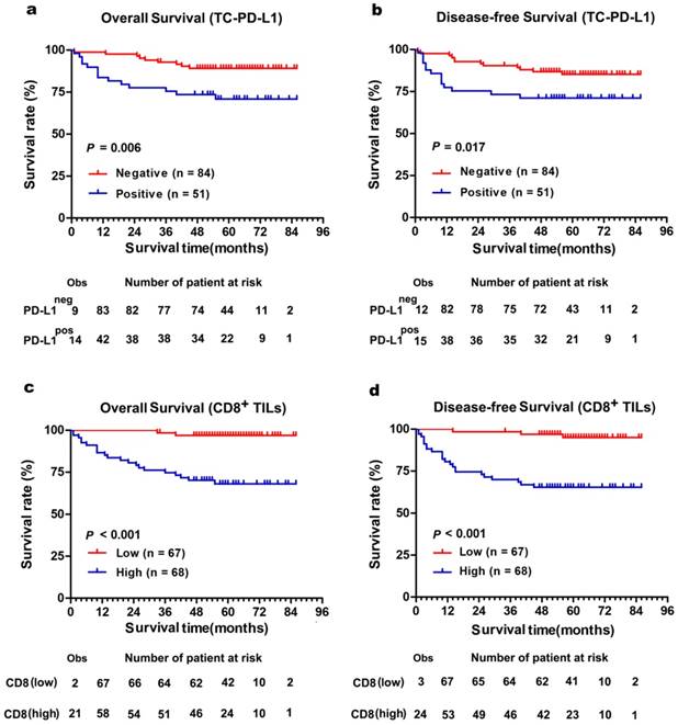 J Cancer Image