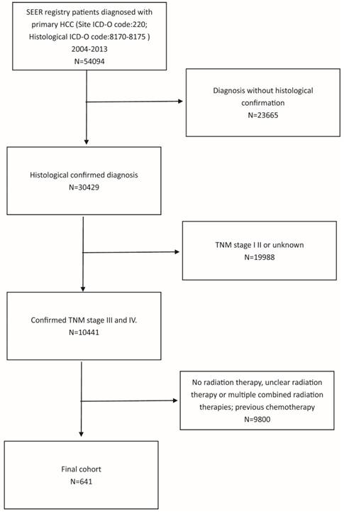 J Cancer Image