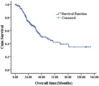 J Cancer Image