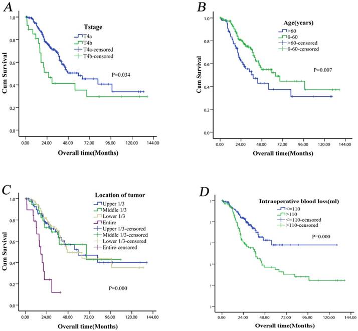 J Cancer Image