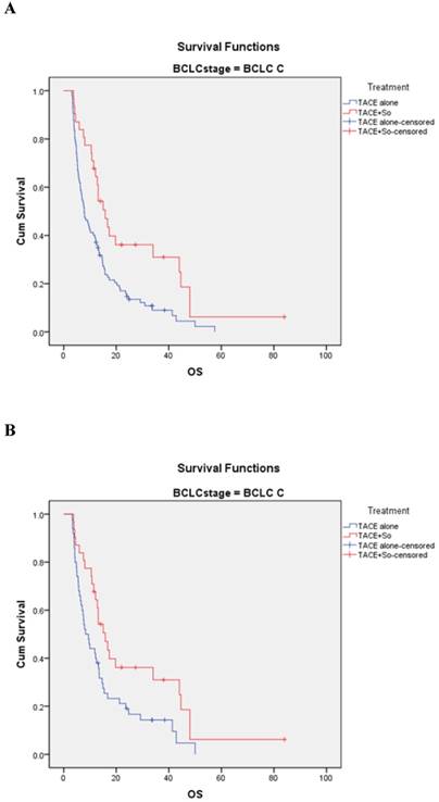 J Cancer Image