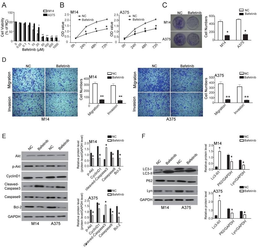 J Cancer Image