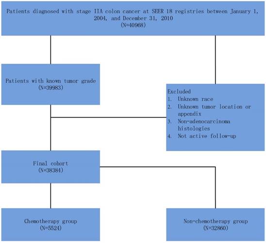 J Cancer Image