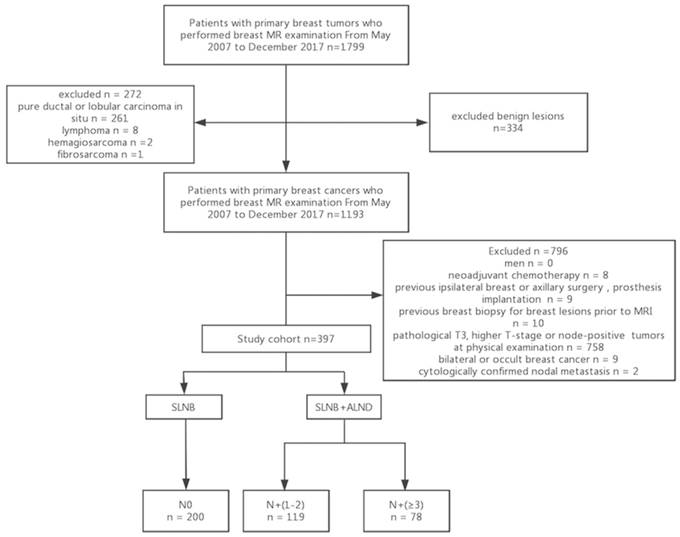 J Cancer Image