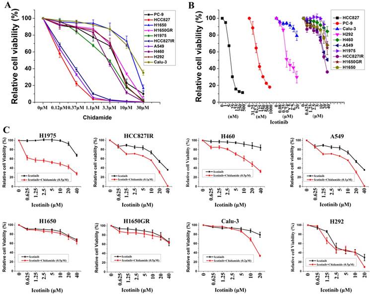 J Cancer Image