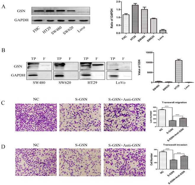 J Cancer Image