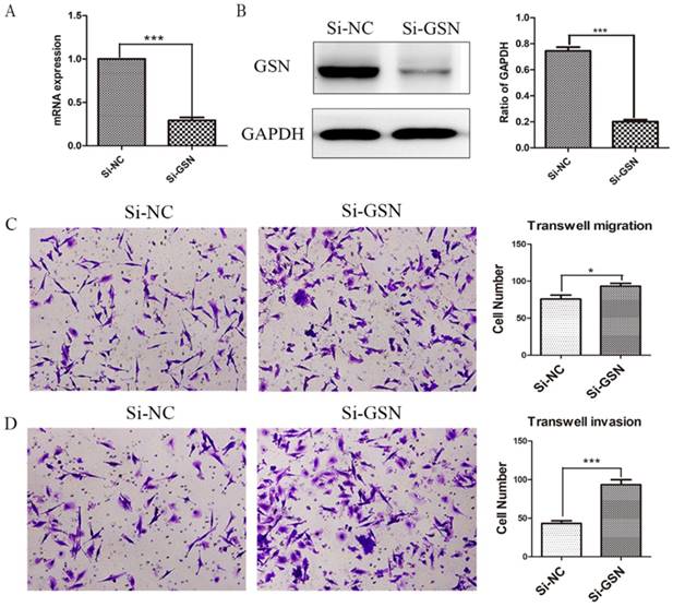 J Cancer Image