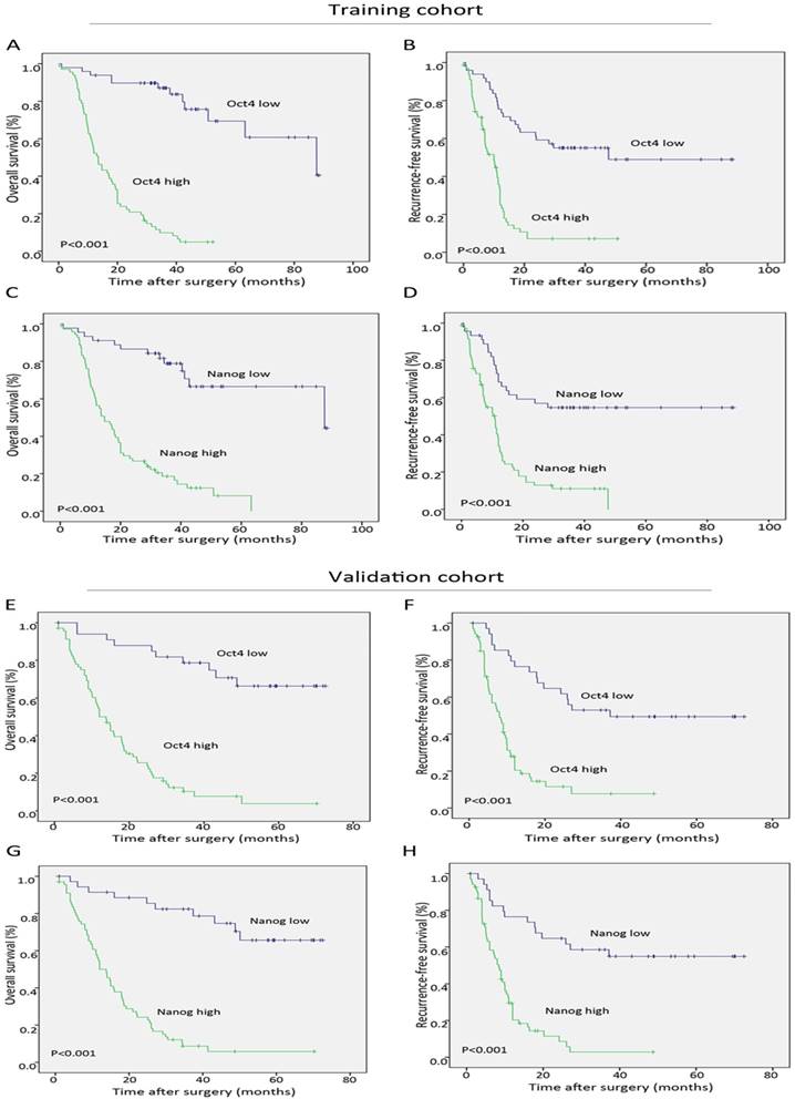 J Cancer Image