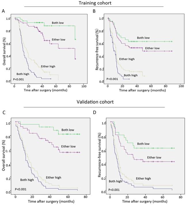 J Cancer Image