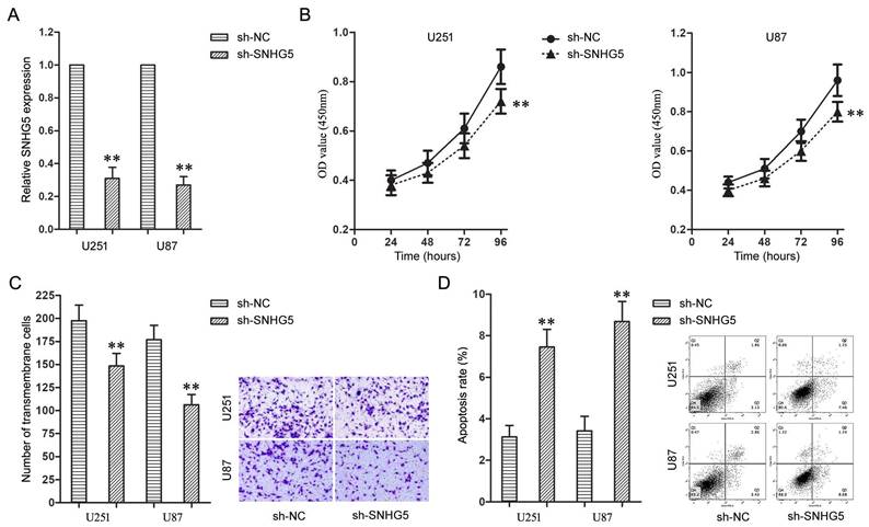 J Cancer Image