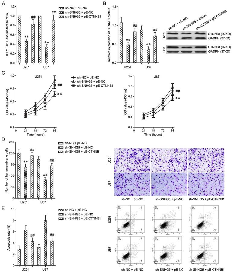 J Cancer Image