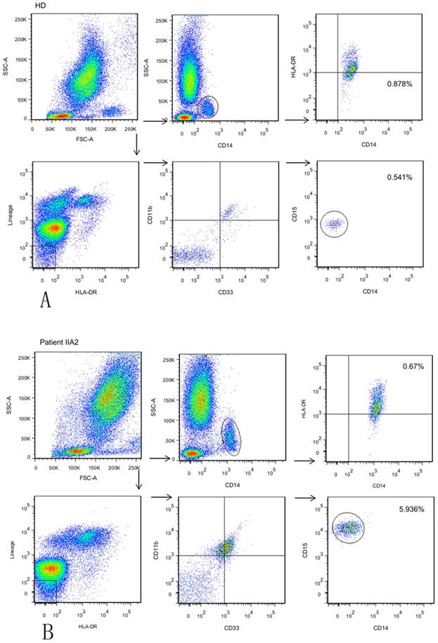 J Cancer Image