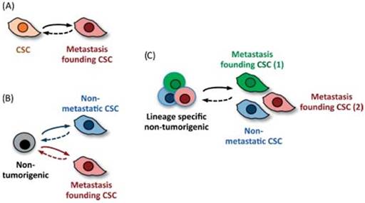 J Cancer Image