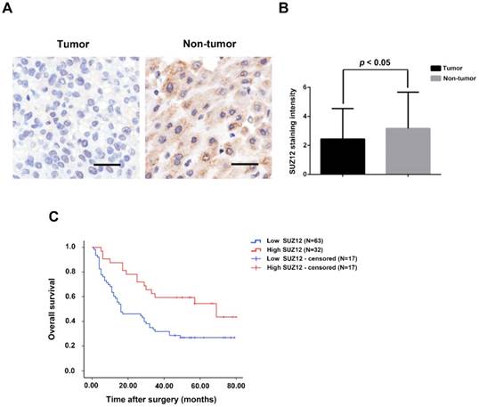 J Cancer Image