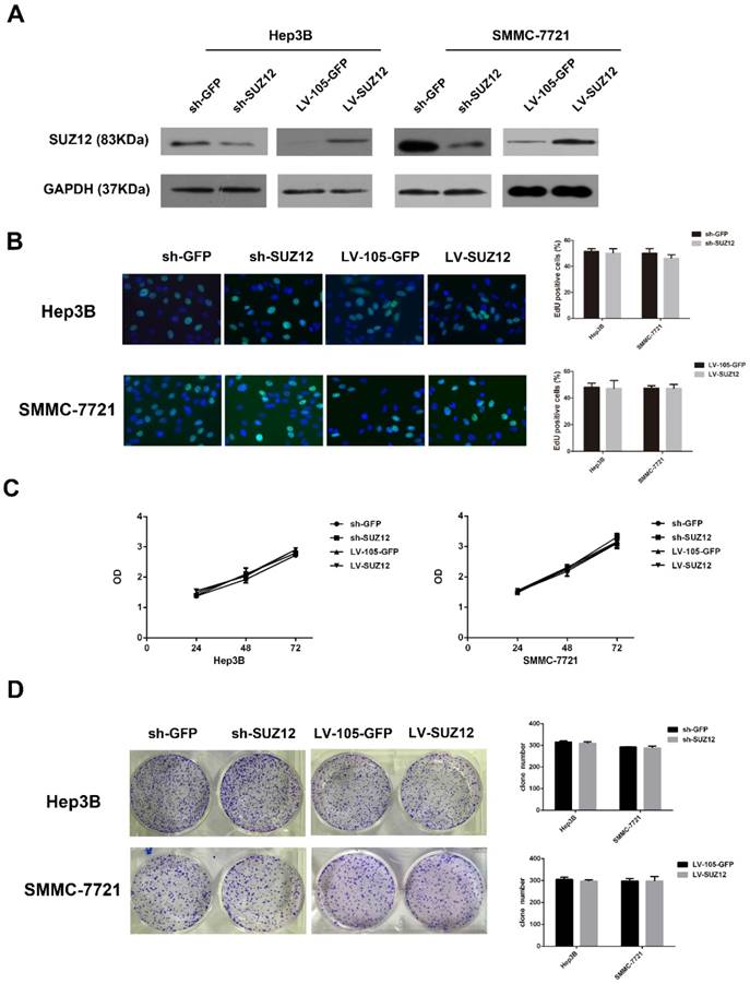 J Cancer Image