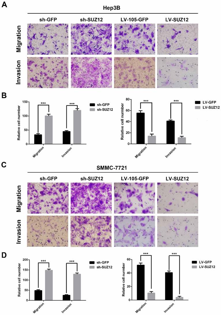 J Cancer Image