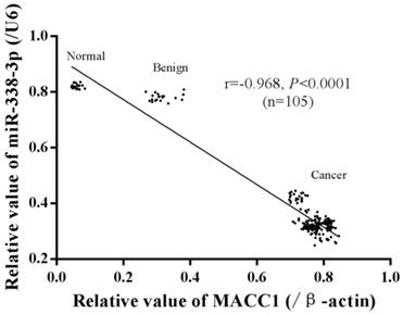 J Cancer Image