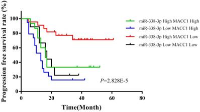 J Cancer Image