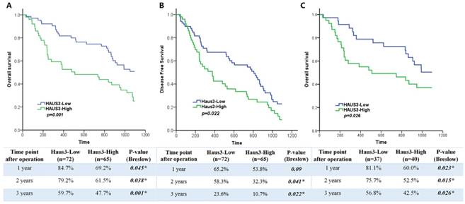 J Cancer Image