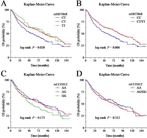 J Cancer Image