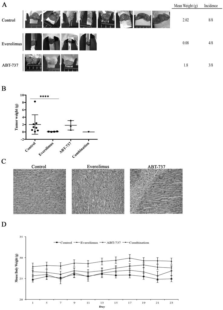 J Cancer Image