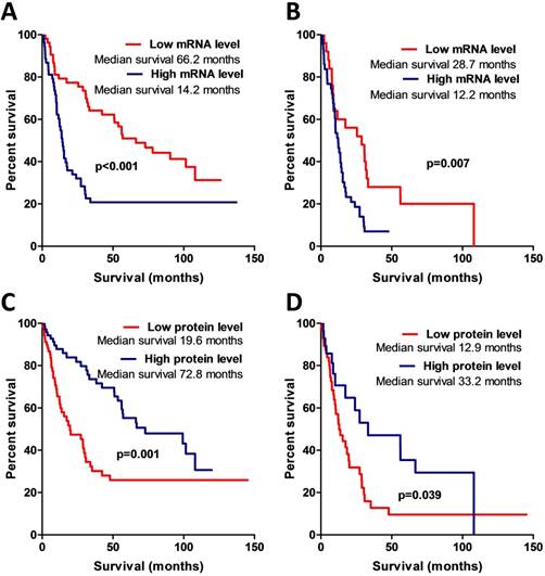 J Cancer Image