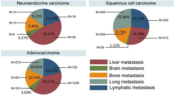 J Cancer Image